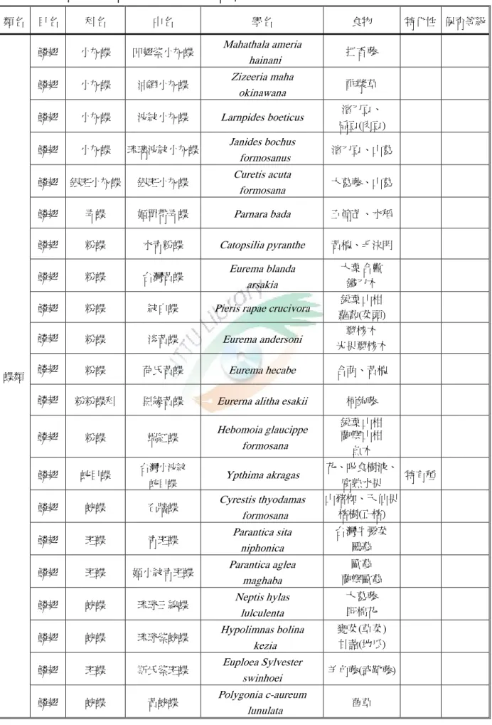 表 2-4-5  台東杉原部落蝶類動物生態調查資料統計表  類名  目名  科名  中名  學名  食物  特化性  保育等級 鱗翅  小灰蝶  凹翅紫小灰蝶 Mahathala ameria   hainani  扛香藤  鱗翅  小灰蝶  沖繩小灰蝶  Zizeeria maha    okinawana  酢漿草  鱗翅  小灰蝶  波紋小灰蝶  Larnpides boeticus  濱刀豆、  扁豆(肉豆)  鱗翅  小灰蝶  琉璃波紋小灰蝶 Janides bochus   formosanus