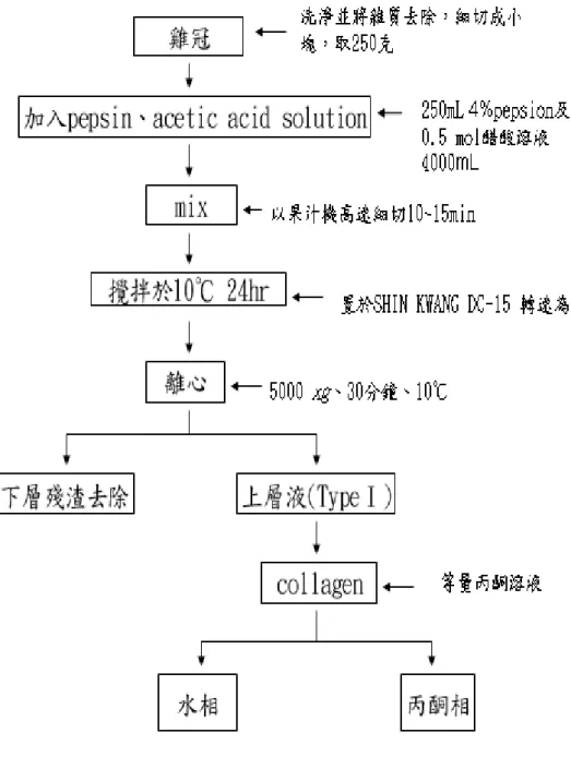 圖 3-1 膠原蛋白萃取流程圖 