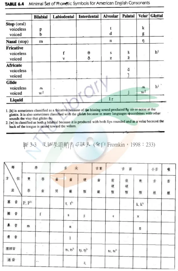 圖 3-3    美國英語輔音系統表  (參自 Fromkin，1998：233) 