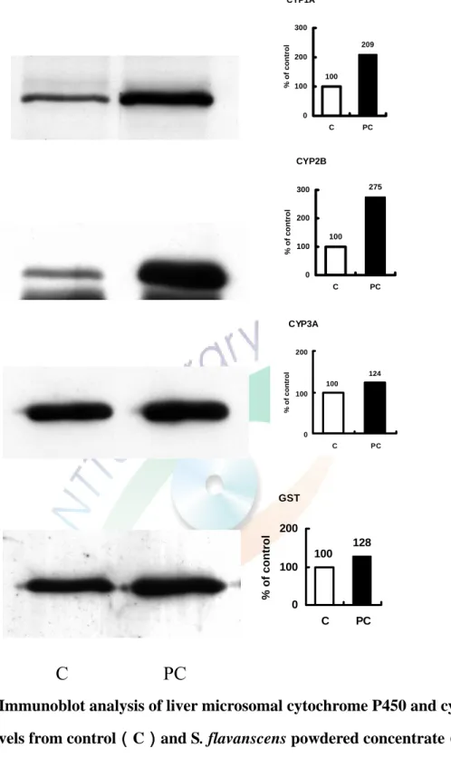 Figure 5. Immunoblot analysis of liver microsomal cytochrome P450 and cytosol  protein levels from control （C）and S