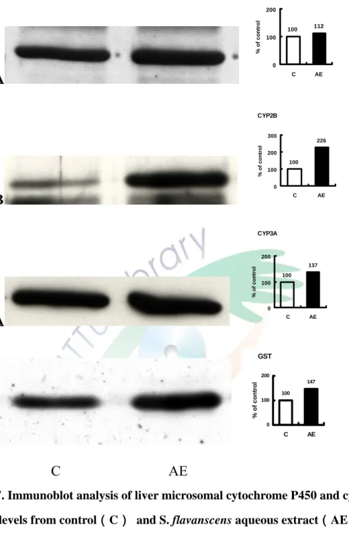 Figure 7. Immunoblot analysis of liver microsomal cytochrome P450 and cytosol  protein levels from control（C） and S