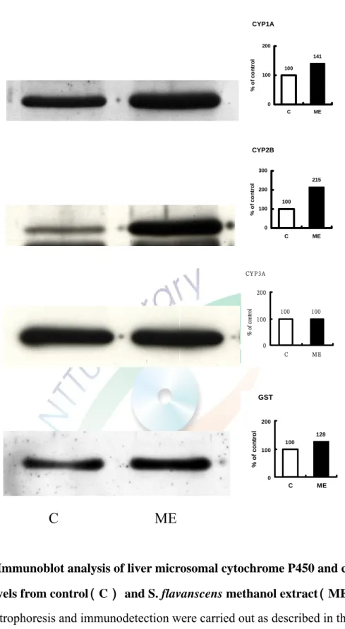 Figure 9. Immunoblot analysis of liver microsomal cytochrome P450 and cytosol  protein levels from control （C） and S