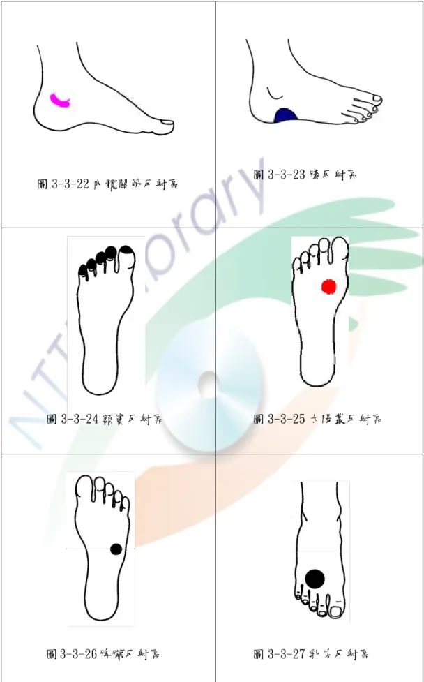 圖 3-3-22 內髖關節反射區 圖 3-3-23 膝反射區 