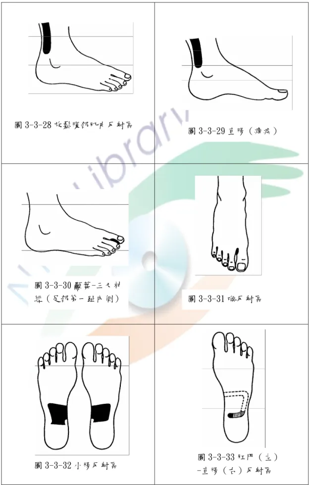 圖 3-3-31 喉反射區  圖 3-3-32 小腸反射區  圖 3-3-33 肛門（左） -直腸（右）反射區 圖 3-3-28 放鬆腹部肌肉反射區  圖 3-3-29 直腸（痔疾） 圖 3-3-30 顳葉-三叉神經（足部第一趾內側）