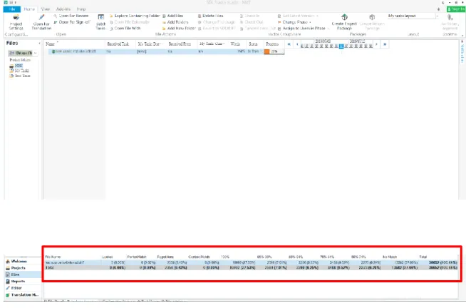 Figure 0.8 Pre-translate statistics provided by Trados 2017 