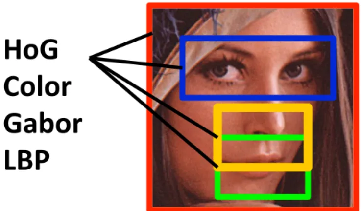 Figure 4.1: For each of the four face components (whole face, eyes, nose, and mouth), four low-level features (HoG, grid color moments, Gabor, and LBP) are extracted