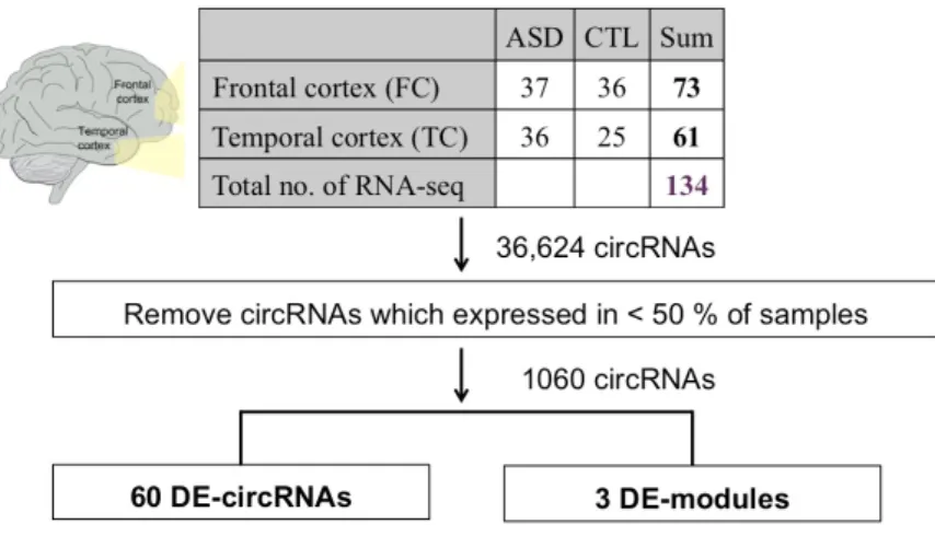 Figure 5. The workflow of the identification of DE-circRNAs and DE-modules. 