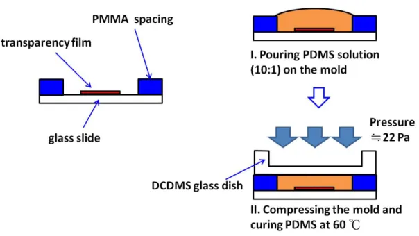 Fig. 2.7: Planarization of PDMS substrate. The master mold of PDMS substrate is 