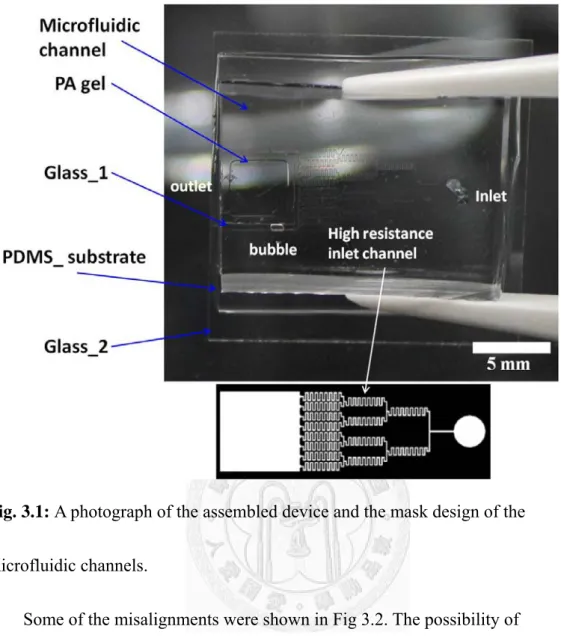Fig. 3.1: A photograph of the assembled device and the mask design of the 