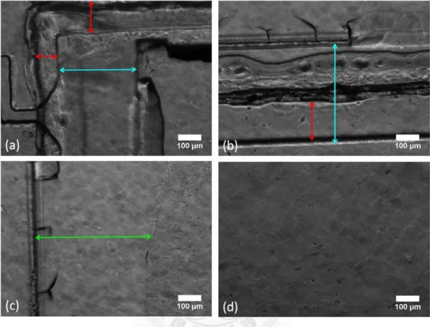 Fig. 3.2: Top-view phase contrast images of the cell culture chamber in the device. (a), 