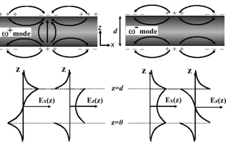 Fig. 2.1.2-2 Distribution of fields for both high- and low- frequency modes in a symmetric 