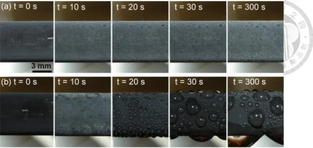 Figure 1- 9. Jumping and flooded condensation. [6] 