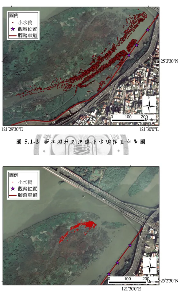 圖 5.1-2  華 江 濕 地 內 河 道 小 水 鴨 調 查 成 果 圖  