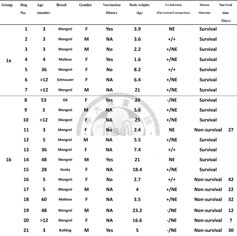 Table 1 Basal findings of 21 canine distemper dogs treated with combination of hyperimmune  plasma and supportive therapy 