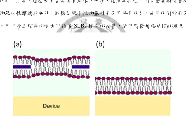 圖 1-8 模擬生物細胞膜的模型：(a)  黑脂膜 (black lipid membranes, BLMs) (b)  基板支撐之脂雙層膜  (supported lipid bilayers, SLBs)  60 。