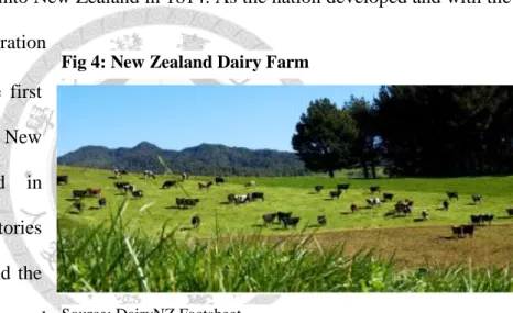 Fig 4: New Zealand Dairy Farm 