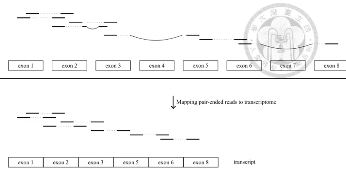 Figure 2.2: RNA-seq reads are mapped to reference genome for detecting the splicing form
