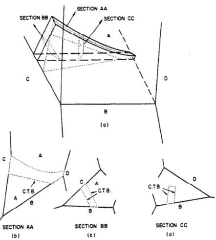 Fig.  2-14  (a) 3D view of partially grown annealing twin band and morphologies. The appearance of twin in 2D depends on the sectioning plane