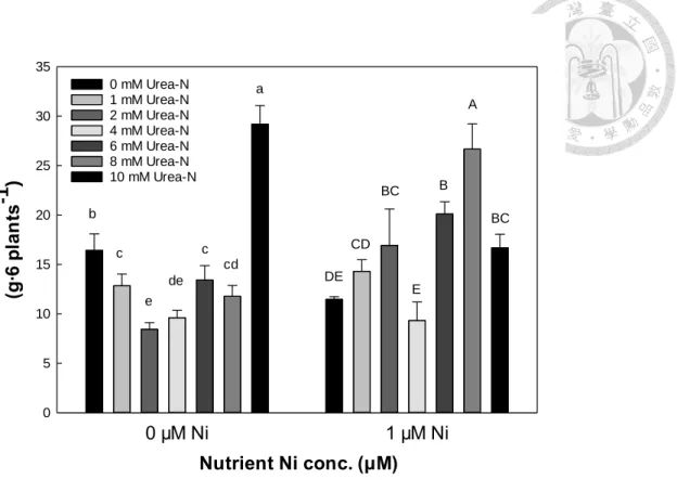 Fig. 8. Effect of urea-N dosage and Ni supplements in nutrients on shoot nitrate content  of hydroponic water spinach 