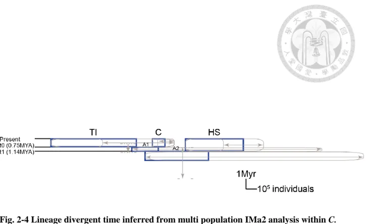 Fig. 2-4 Lineage divergent time inferred from multi population IMa2 analysis within C