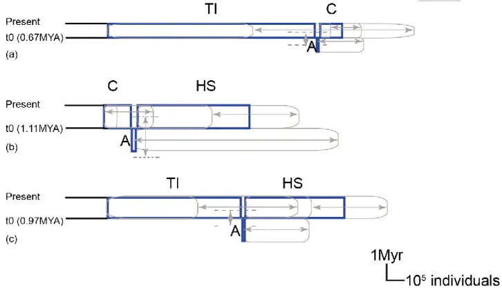 Fig. 2-5 Population divergence within C. ramondioies inferred from pairwise IMa2 analysis