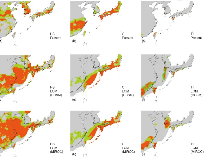 Fig. 2-7 Modeled climatically suitable areas of Conandron groups in East Asia during Last  Glacial Maximum and present