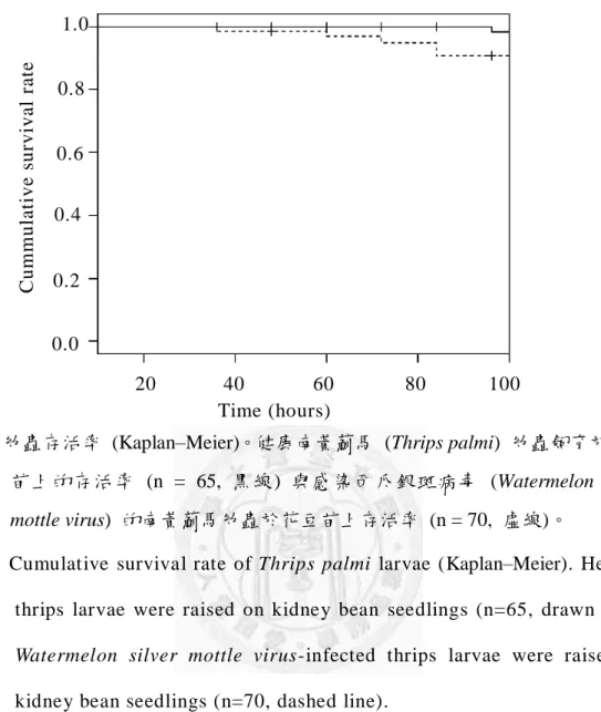 Fig. 4. Cumulative  survival  rate  of Thrips palmi  larvae (Kaplan–Meier). Healthy  thrips  larvae  were  raised  on  kidney  bean  seedlings  (n=65,  drawn  line)