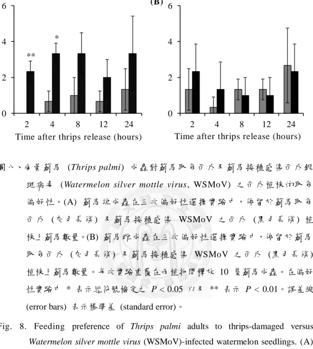 Fig.  8.  Feeding  preference  of  Thrips  palmi  adults  to  thrips-damaged  versus  Watermelon  silver mottle virus (WSMoV)-infected watermelon seedlings