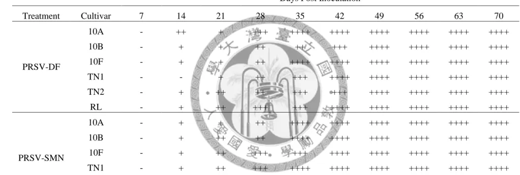 表  三、以反轉錄聚合酶鏈鎖反應(RT-PCR)偵測木瓜輪點病毒畸形系統(PRSV-DF)與嚴重嵌紋系統(PRSV-SMN)於不同品種中之 增殖情形。 