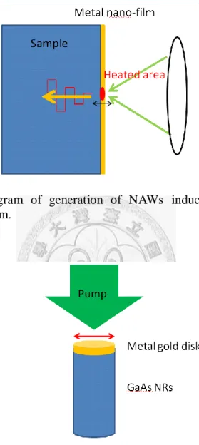 Fig. 3-4  Schematic  diagram  of  generation  of  NAWs  induced  from  the  thickness  vibration of metal thin film