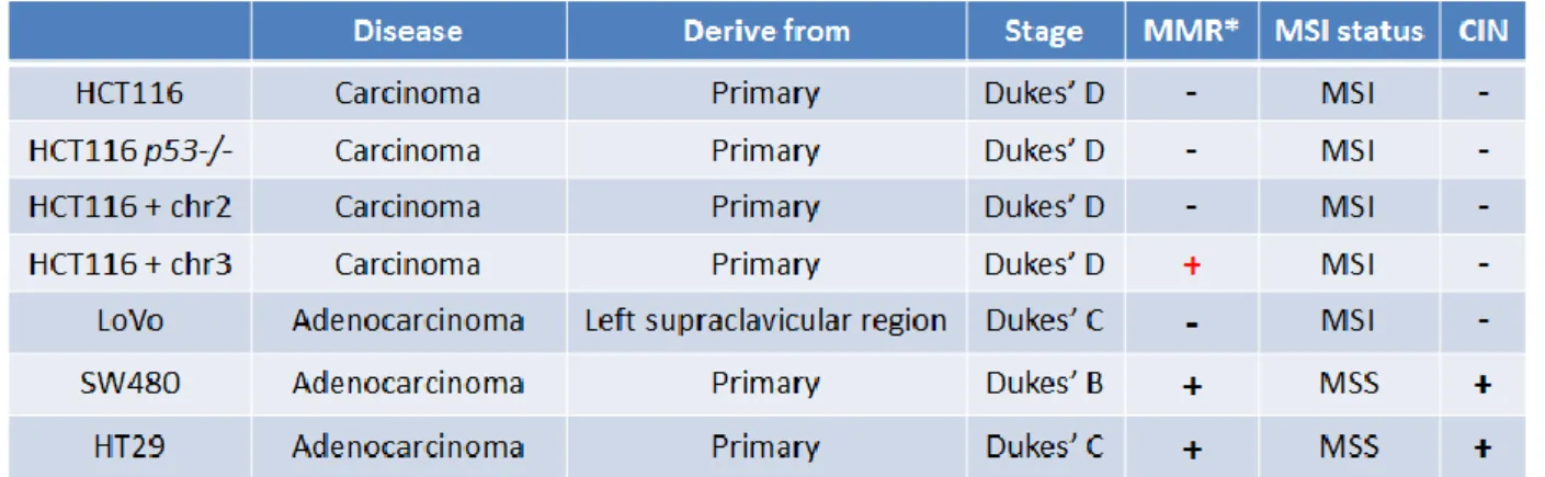 Table 2.1: Colorectal cancer cell lines that were used in this thesis 