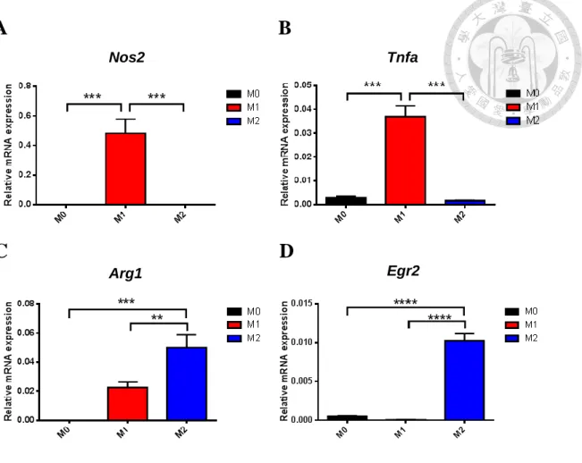 Fig. 2 Signature gene expressions in bone marrow-derived M1 and M2 subsets. 