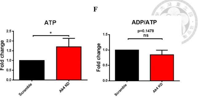 Fig. 3 ATP level was elevated by shRNA KD of Ak4 highly expressed in M1. 
