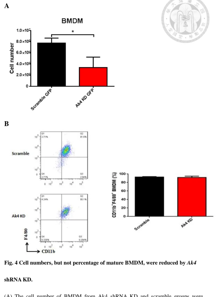 Fig. 4 Cell numbers, but not percentage of mature BMDM, were reduced by Ak4 