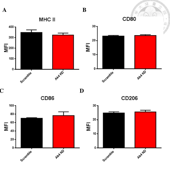 Fig. 9 The expressions of CD80, CD86, CD206 and MHC II were not influenced by   