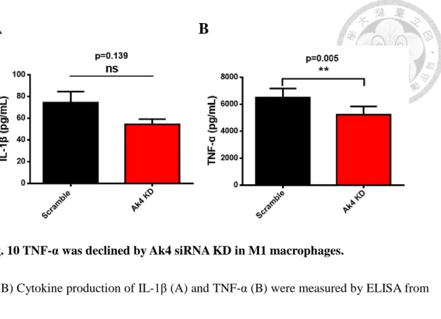 Fig. 10 TNF-α was declined by Ak4 siRNA KD in M1 macrophages. 