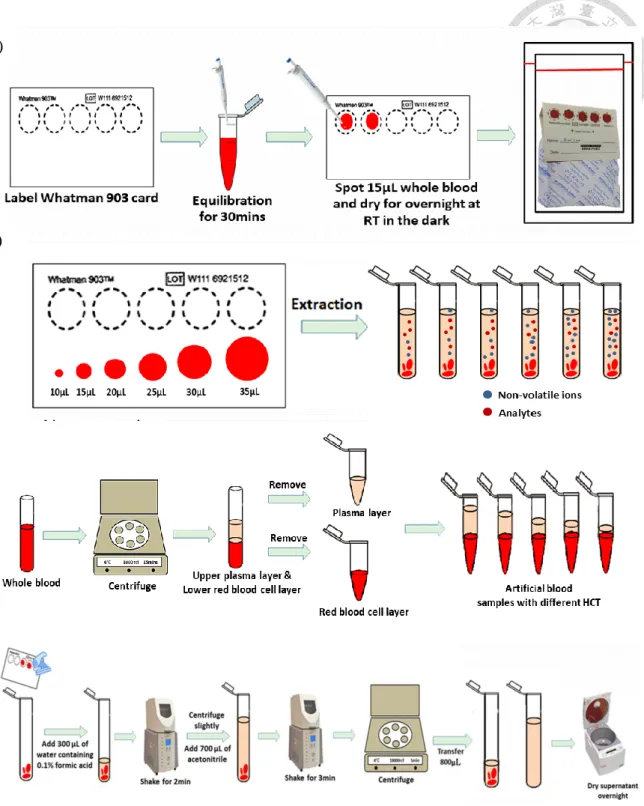 Figure  1.3  The  sample  preparation  for  (A)  DBS,  (B)  volume  correction  and  (C)  hematocrits effect studies