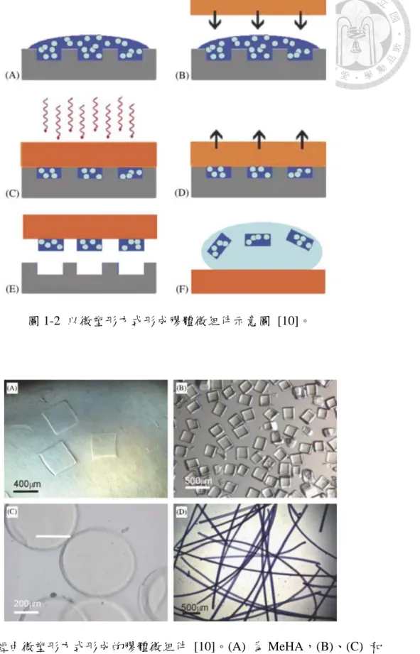 圖 1-3  經由微塑形方式形成的膠體微組件  [10]。(A)  為 MeHA，(B)、(C)  和  (D)  為 PEGDA。 