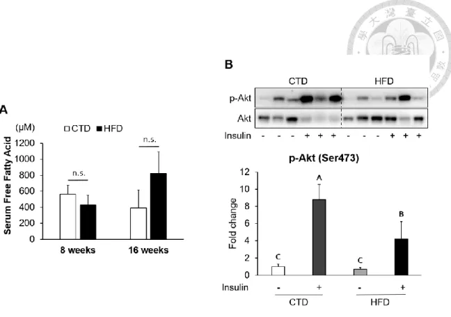 Figure 8. Insulin resistance in adipose tissues from mice fed with 16-week HFD. 