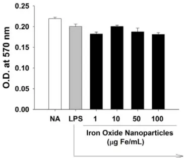 Figure 2. No effect of iron oxide nanoparticles on the viability of LPS-stimulated  microglia