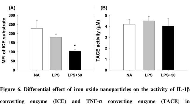 Figure 6. Differential effect of iron oxide nanoparticles on the activity of IL-1 β  converting enzyme (ICE) and TNF- α converting enzyme (TACE) in  LPS-stimulated microglia