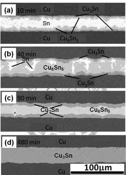 Figure 1.6 Microstructure evolution of Cu/Sn(25m)/Cu sandwiches reacted at 340 