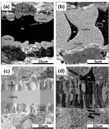 Figure 1.7 Focused-ion-beam images showing the microstructure evolution of Cu/Sn  (25m)/Cu sandwiches reacted at: (a) 260  o C for 5 min, (b) 300  o C for 10 min, (c) 