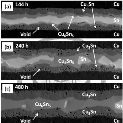 Figure 3.2 Micrographs showing the Cu/Sn(10m)/Cu bonded at 250  o C and then  aged at 150  o C for (a) 144, (b) 240 and (c) 480 h