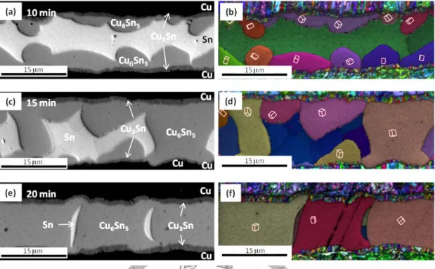 Figure 3.5 Scanning electron micrographs showing the Cu/Sn(15m)/Cu reactions at  250  O C for (a) 10, (c) 15 and (e) 20 min