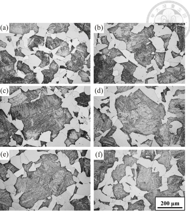 Figure 4-4 Optical metallography of dual phase microstructure in Cu-Ti after tempering  at 500 ºC for (a) 0.5h, (b) 1h, (c) 3h, (d) 5h, (e) 7h, and (f) 9h