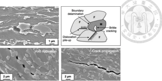 Figure 2-8 Features and mechanisms of damage initiation and propagation in DP  steel[53]