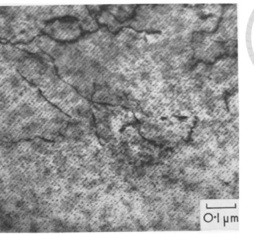 Figure 2-19 TEM image of interphase-precipitated carbides arranged in parallel sheets  in the ferrite matrix (Fe-0.15C-0.75V)[107-109]