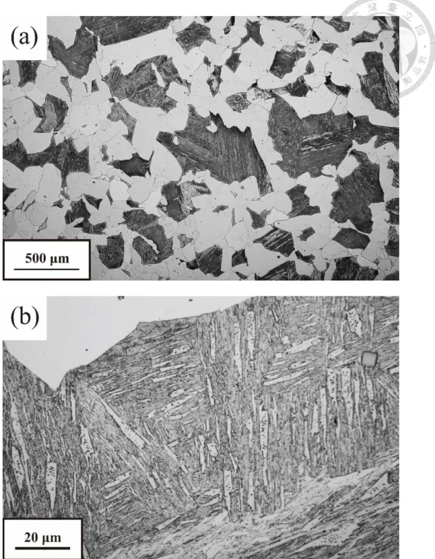 Figure 4-3 Optical metallograph of dual phase microstructure of Cu-Ti steel. The 