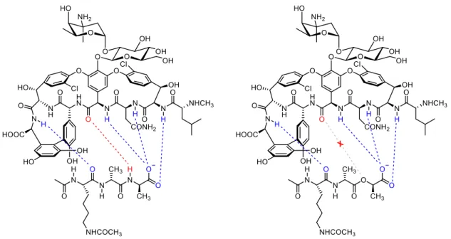 Figure 5. (a) Interactions between vancomycin and lipid II terminal peptide; 